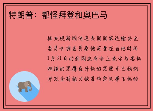特朗普：都怪拜登和奥巴马