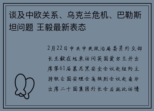 谈及中欧关系、乌克兰危机、巴勒斯坦问题 王毅最新表态