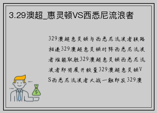 3.29澳超_惠灵顿VS西悉尼流浪者