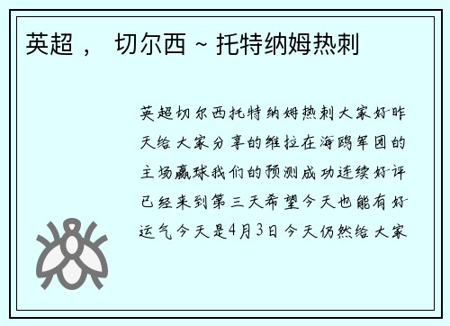 英超 ， 切尔西 ~ 托特纳姆热刺